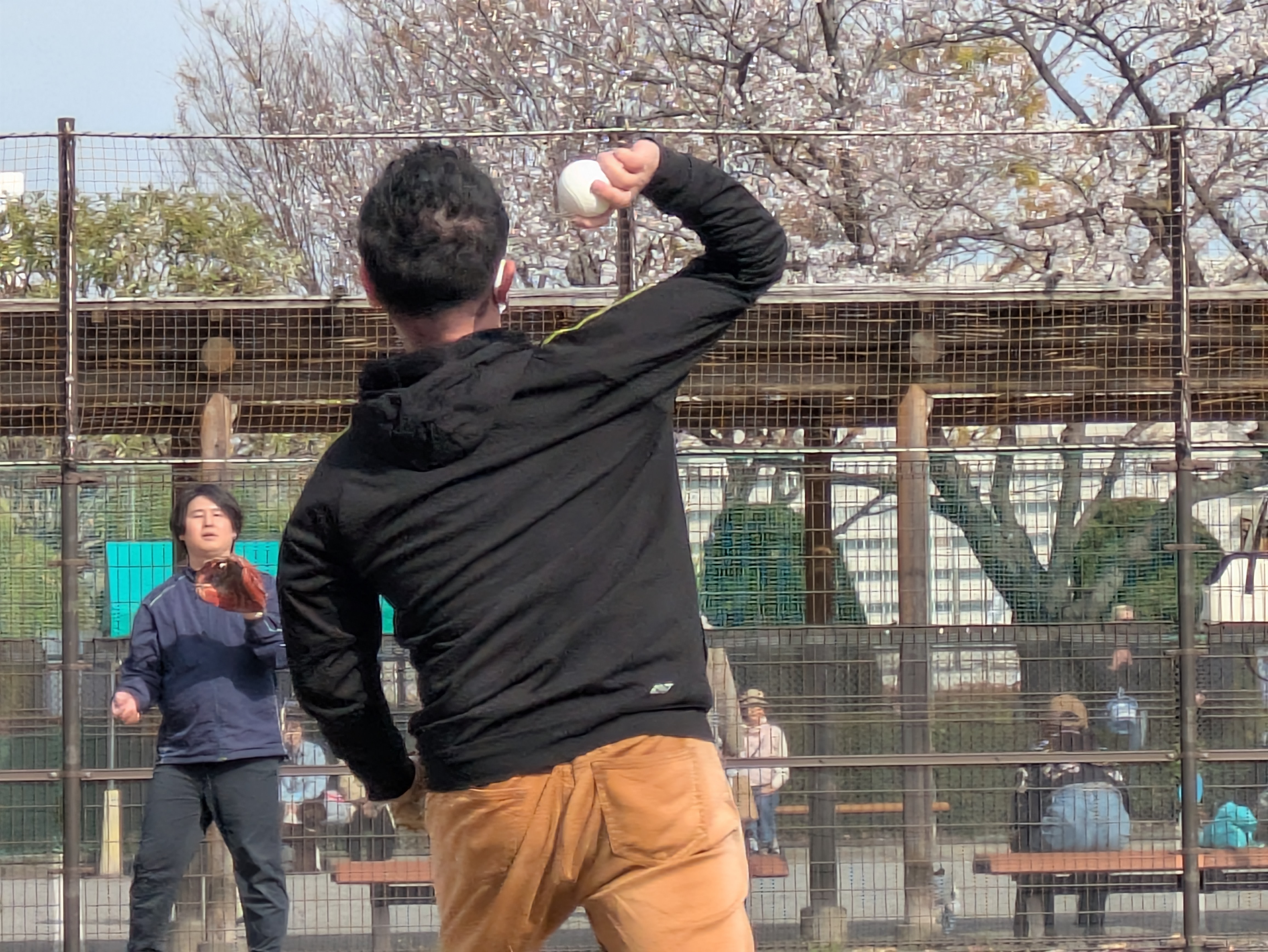 野球部のイメージ写真